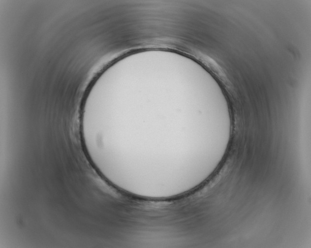 X0000113361184200910131254