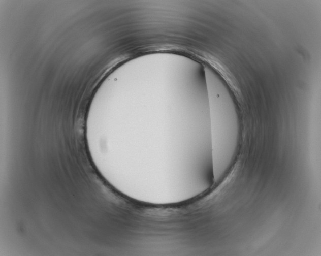 X0000113361185200910131254