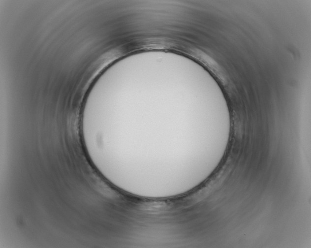 X0000113361186200910131254