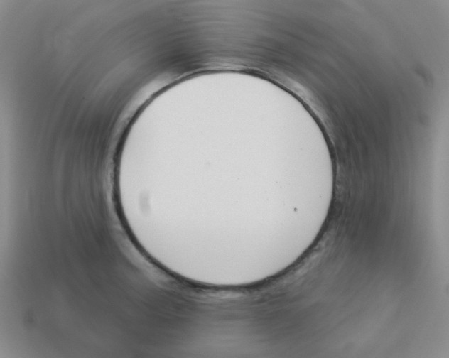 X0000113361187200910131254