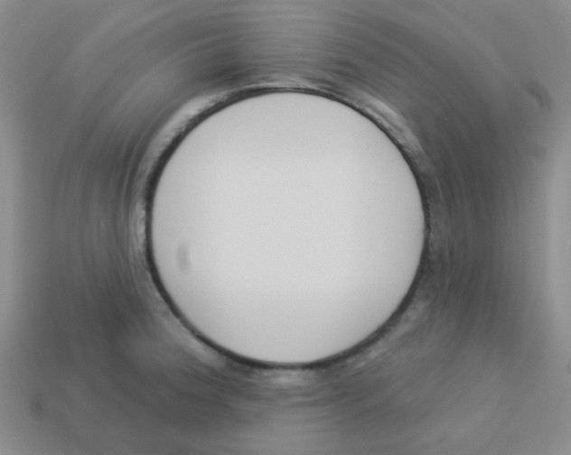 X0000113361188200910131254