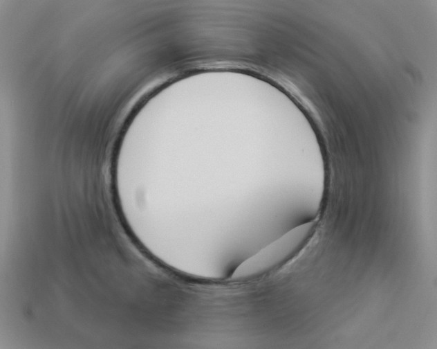 X0000113361189200910131254