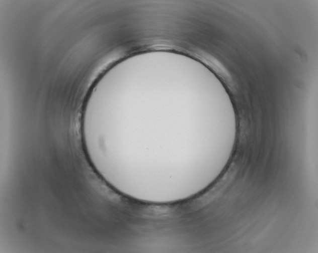 X0000113361190200910131254