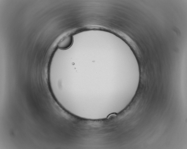 X0000113361191200910131254