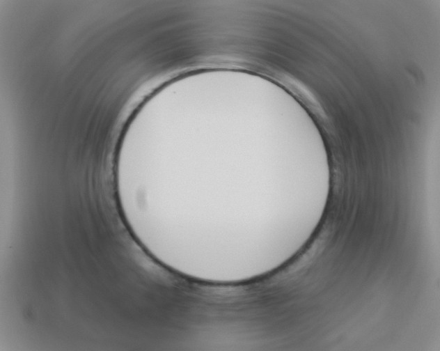 X0000113361192200910131254