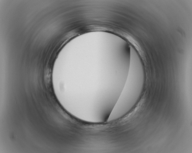 X0000113361193200910131254