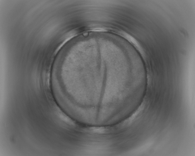 X0000113361194200910131254