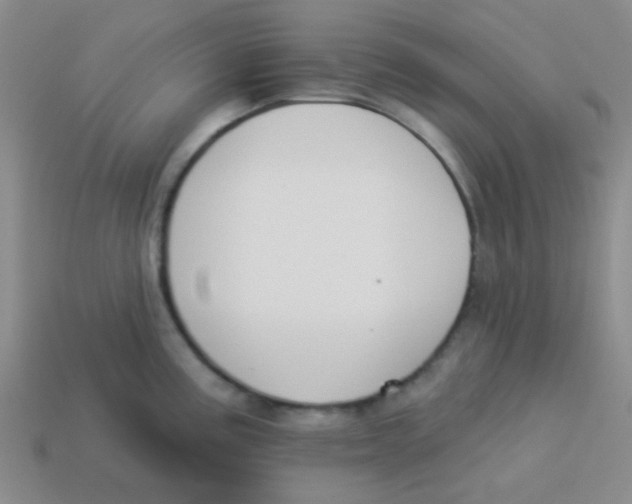 X0000113361195200910131254