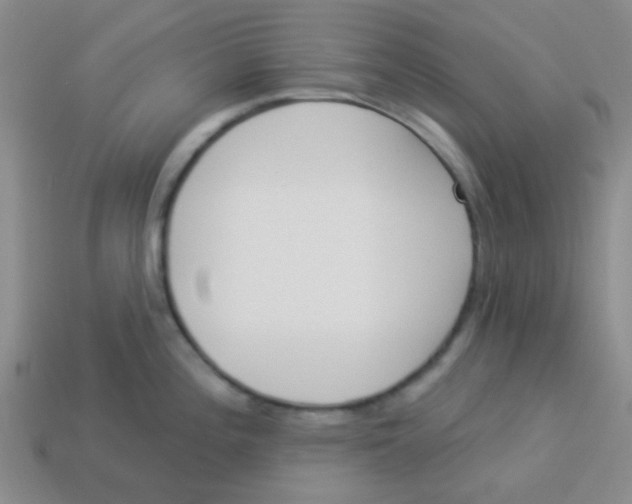 X0000113361196200910131254