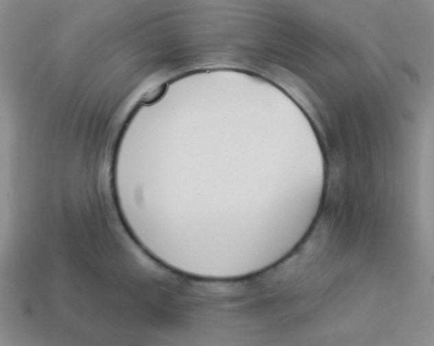 X0000113361197200910131254