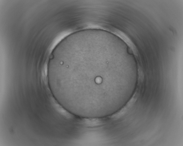 X0000113361198200910131254