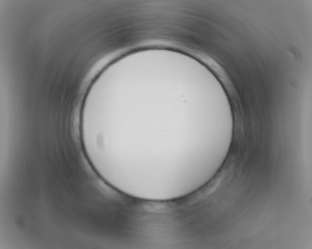 X0000113361199200910131254