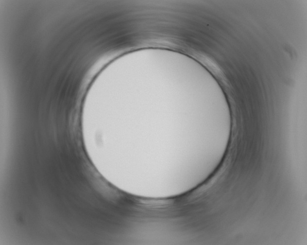 X0000113361200200910131254