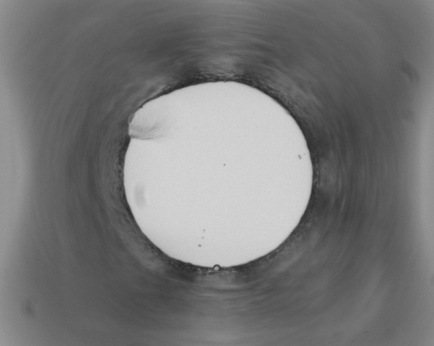 X0000113361201200910131253