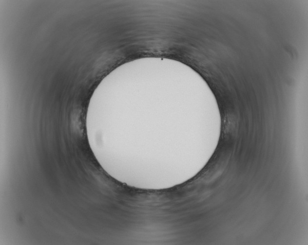 X0000113361202200910131253