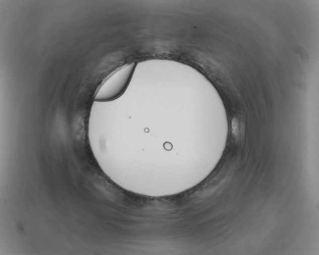 X0000113361203200910131253