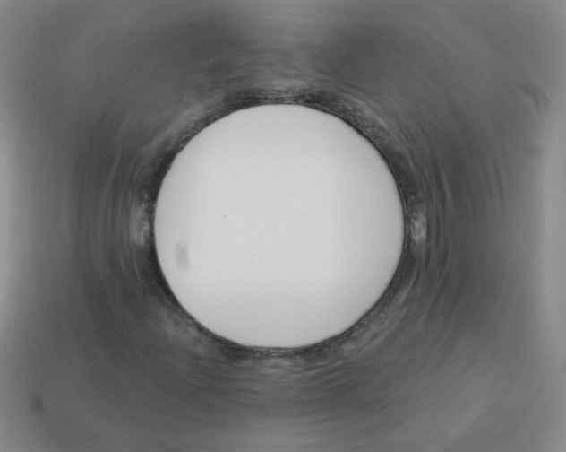 X0000113361204200910131253