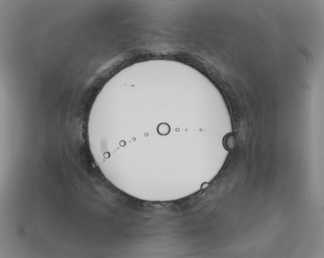 X0000113361205200910131253