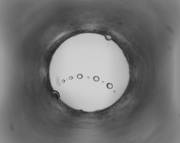 X0000113361206200910131253