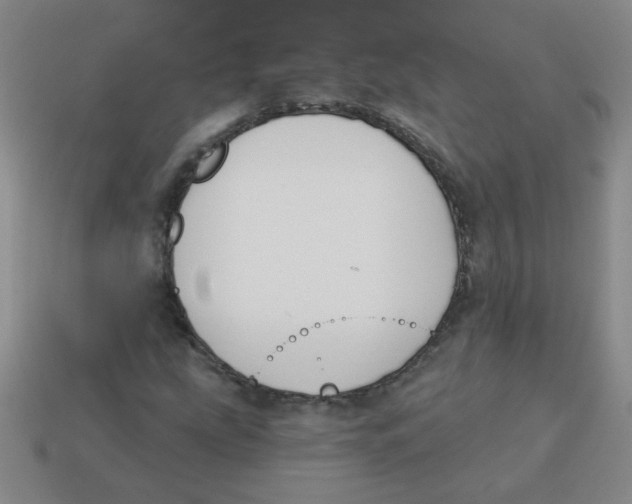 X0000113361207200910131253