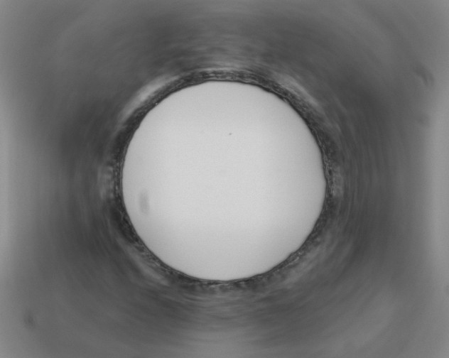 X0000113361208200910131253