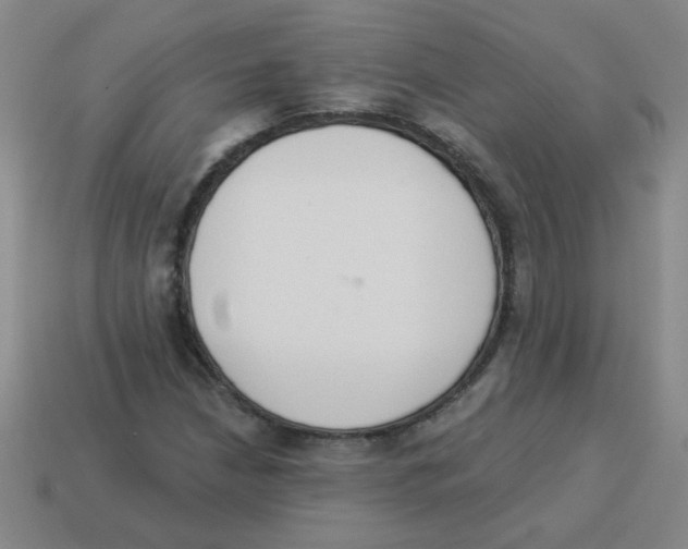 X0000113361210200910131253