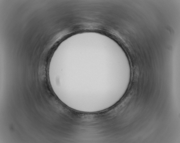 X0000113361211200910131253