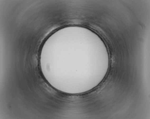 X0000113361212200910131253