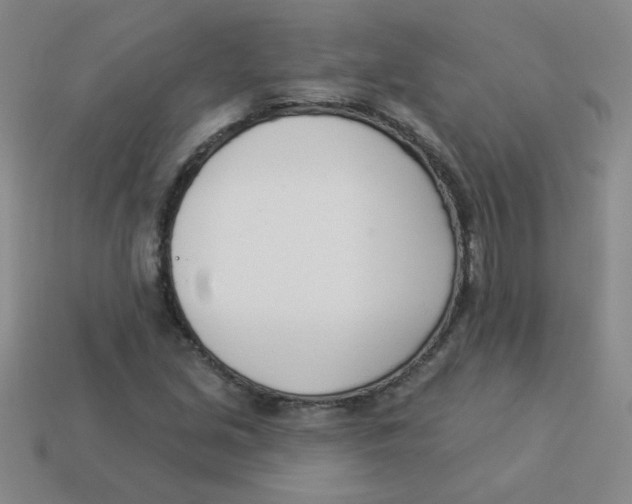 X0000113361213200910131253