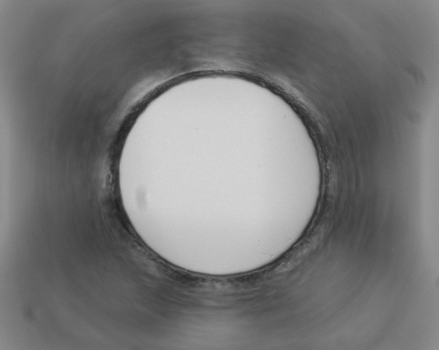 X0000113361215200910131253