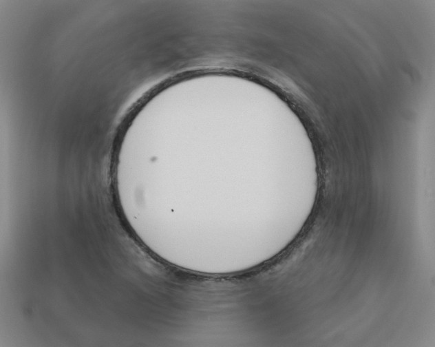 X0000113361216200910131253