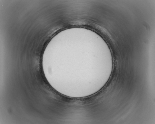 X0000113361217200910131253