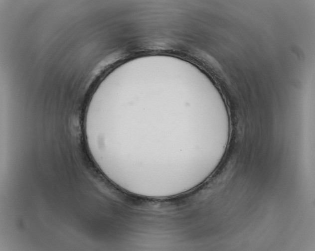 X0000113361218200910131253