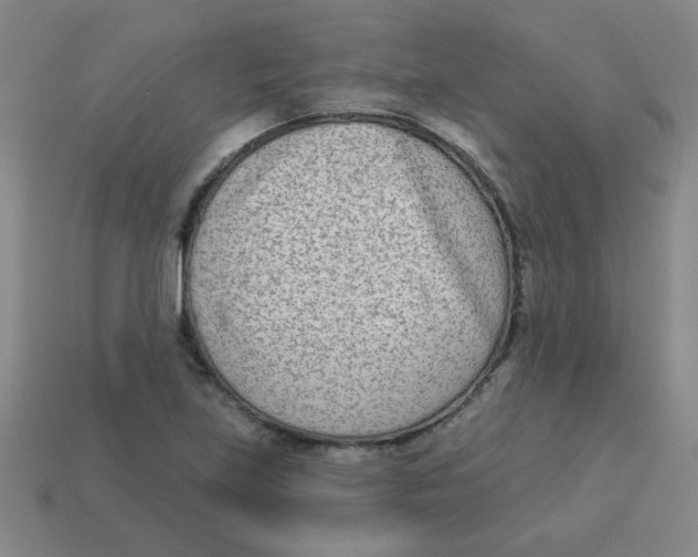 X0000113361219200910131253