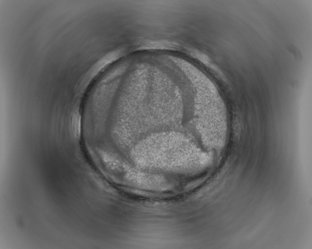 X0000113361221200910131253