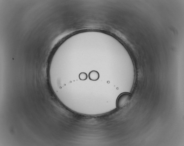 X0000113361222200910131253