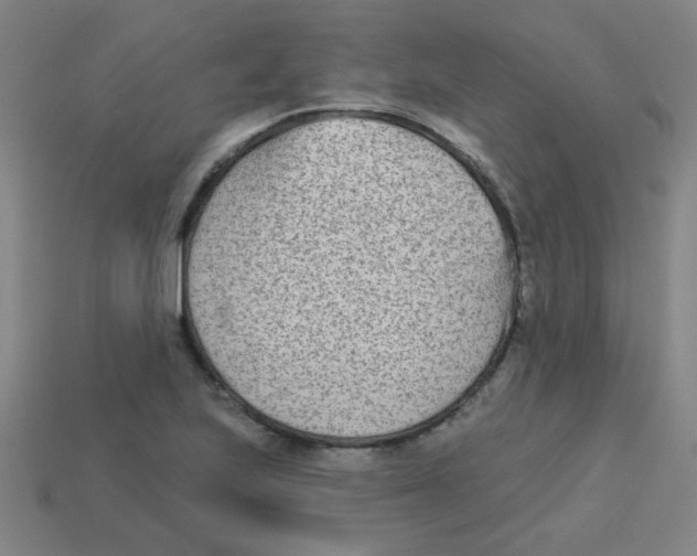 X0000113361223200910131253