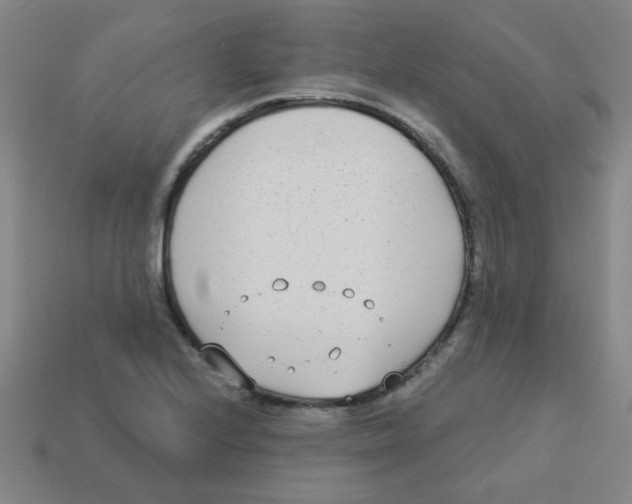 X0000113361224200910131253