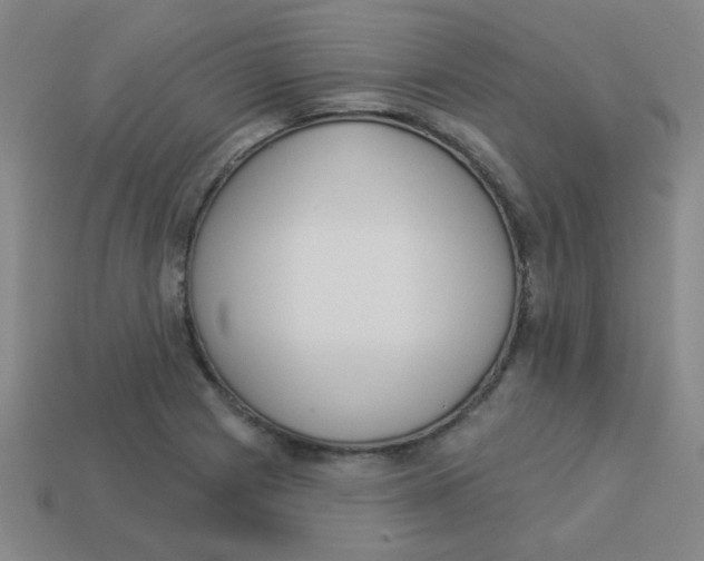 X0000113361225200910131253