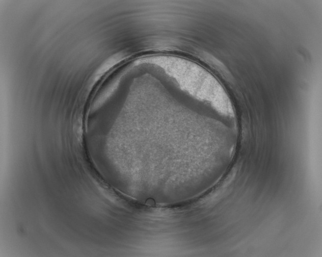 X0000113361226200910131253