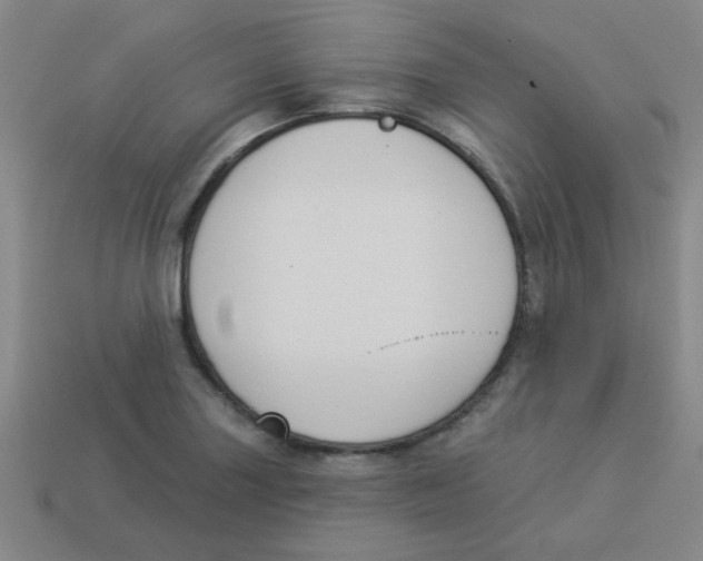 X0000113361227200910131253