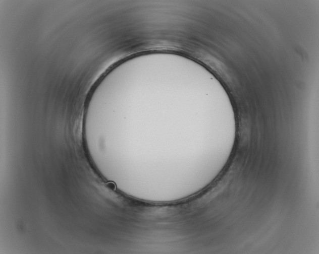 X0000113361228200910131253