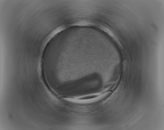 X0000113361229200910131253