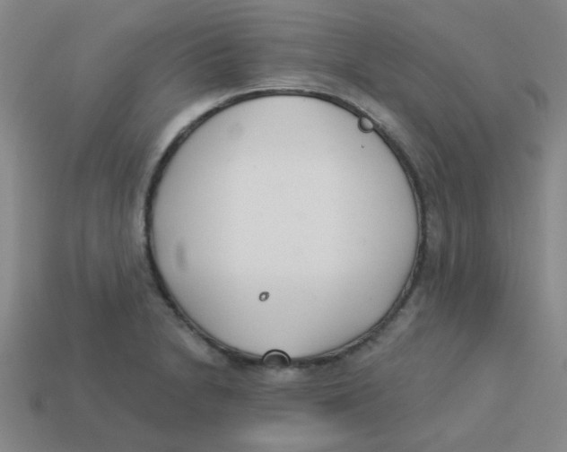 X0000113361230200910131253