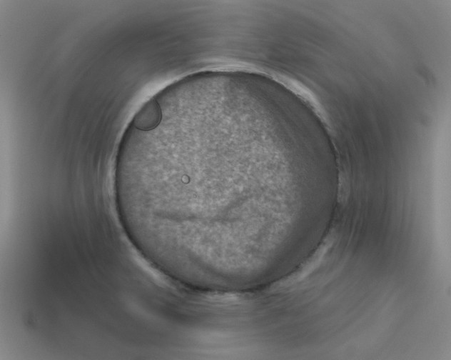 X0000113361231200910131254