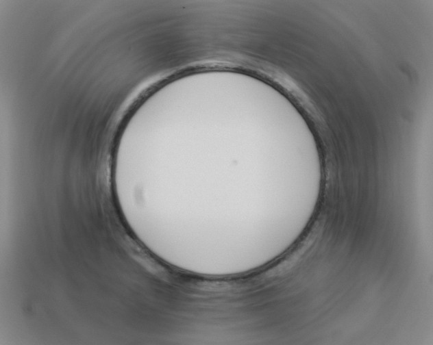 X0000113361232200910131254