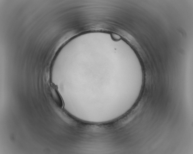 X0000113361234200910131254