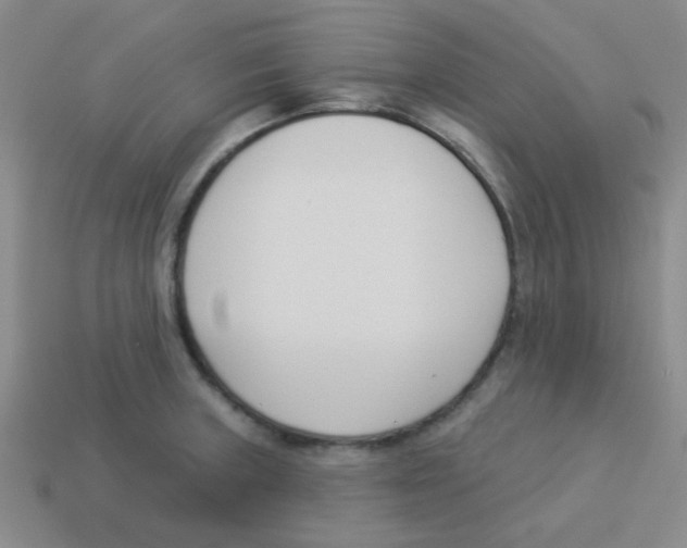 X0000113361235200910131254