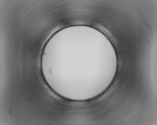 X0000113361236200910131254