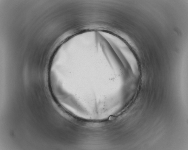 X0000113361237200910131254